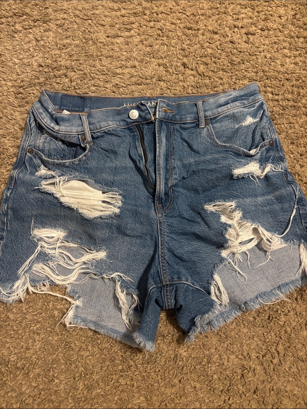 Distressed High-Rise Denim Shorts